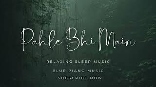 Pahle  Bhi Main  By Animal Song (Slowed & Reverb Music)