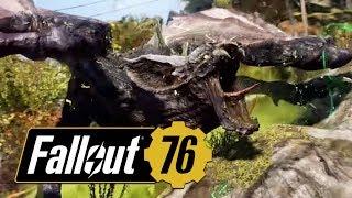 Ленивец, Зверожог и куча багов // Fallout 76