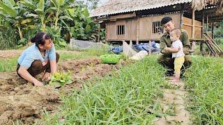 Gardening vegetables to prepare for the upcoming winter crop