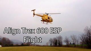 Align Trex 600 ESP - A Random Flight