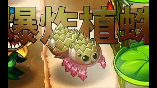 【蘆葦】植物大戰僵屍2國際版11.6.1新植物介紹-爆炸蜘蛛