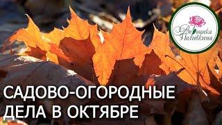 ЧТО НЕОБХОДИМО СДЕЛАТЬ В САДУ И ОГОРОДЕ В ОКТЯБРЕ