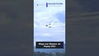 Illawarra Airshow 2022 #shorts