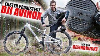 DJI AVINOX auf Trails - Beeindruckendes neues E-Bike System!