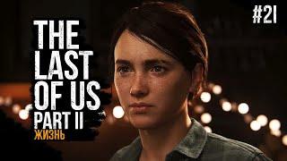 Спокойная жизнь ║ The Last Of Us: Part 2 #21