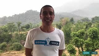 Siddhi Yoga: Yoga Teacher Training (RYT200) Review by James from Australia at Dharamshala, India