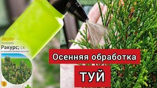 Осенняя обработка хвойных. Препарат ракурс: на сколько хватило 1 пачки?