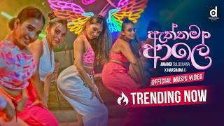 Amandi Sulochana X Harshana K - Aththama Ale (ඇත්තම ආලේ) Official Music Video