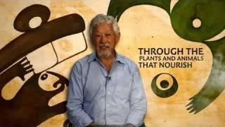 The Declaration of Interdependence: A Pledge to Planet Earth by David Suzuki and Tara Cullis