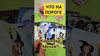 Королева Мечей  ЧТО НА ПОРОГЕ  #таро #зенатаро #таролюбовь #кинезиология #онлайгадание #shorts