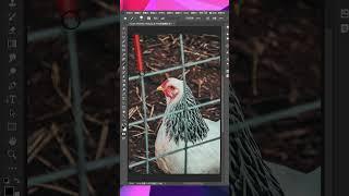 ps教程教你学会快速蒙版的运用 去除难看的网状杂物  #psd #photoshoppsd #graphicdesign