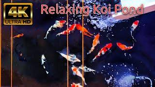 NO ADS - Relaxing Koi Fish Pond with Piano Music by Erik Satie - 2 Hours 4K