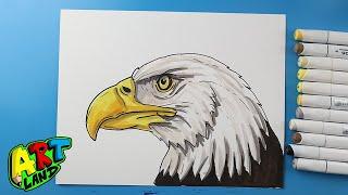 How to Draw a Bald Eagle Face