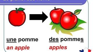 French Lesson 92 - Plural nouns (Grammar Rules Pronunciation) - Le pluriel des noms en français