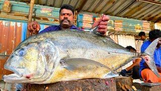 KASIMEDU  SPEED SELVAM | 27 KG GIANT TREVALLY FISH CUTTING VIDEO | IN KASIMEDU | FF CUTTING 