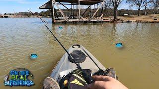 Muddy Water Kayak Fishing on Old Hickory Lake - THESE Fish Were Everywhere!