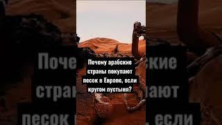 Почему арабские страны покупают песок в Европе, если кругом пустыня?