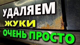 100% СПОСОБ Как убрать жучки с кузова автомобиля своими руками навсегда