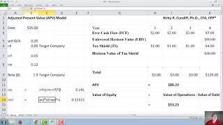 Adjusted Present Value (APV)