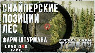 Тарков гайд - Снайперские позиции локация Лес 12.9. Фарм Штурмана