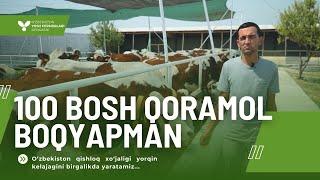 Qoramol boqib, biznesmenga aylandim