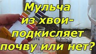 ХВОЙНЫЙ ОПАД и КИСЛОТНОСТЬ ПОЧВЫ-МИФЫ И РЕАЛЬНОСТЬ!