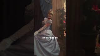 Guest Sues Disney After Finding Glass in Food at Cinderella's Royal Table (She Bit Into It)