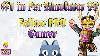 Learn how to beat Pet Simulator Games from your Number 1 Gamer Dad