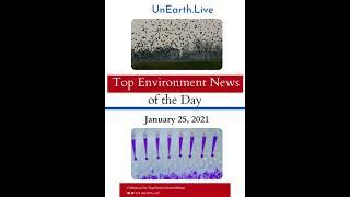 Top Environment News of the Day | UnEarth