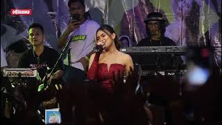 PELANGGARAN - Meike Yolanda - oQinawa Live Cikarang - Plat R wani ngeyel