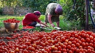 HARVESTING TOMATOES AND CUCUMBER GRANDMA MAKİNG PİCKLE MİX