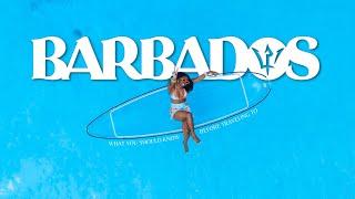 THE ULTIMATE BARBADOS TRAVEL GUIDE  | Things to Do, Flying Dress Photoshoot, Restaurants & MORE