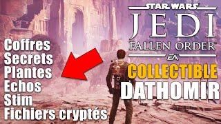 STAR WARS : Jedi Fallen Order - GUIDE DATHOMIR (Coffre, Secret, Graine, Stim, Échos, Fichier Crypté)