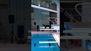 #olimpics #cats #catvideos #animals #animalshorts #zoo #shorts #creativeman #artificial #youtube #1m