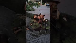 Львов площадь возле памятника С. Бандеры Lwow Lviv