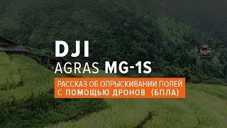 DJI Agras MG-1S | Рассказ об опрыскивании полей с помощью дронов (БПЛА)