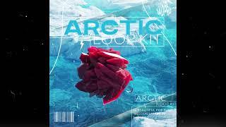 (14) *FREE* POP PUNK Loop Kit 'Arctic' (MGK, Paramore, Juice WRLD, blink-182)