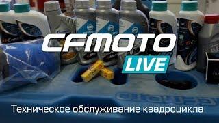 CFMOTO LIVE. Техническое обслуживание квадроцикла.