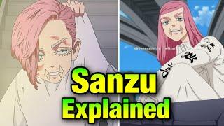 Sanzu Haruchiyo Explained Tokyo Revengers (English)