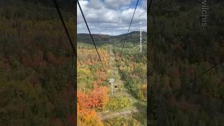 Places in Minnesota that don’t feel real  #travel #adventure #explore #nature #minnesota #usa