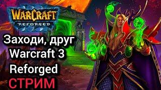 Заходи, друг. Warcraft 3 Reforged [Cтрим]