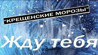 Жду тебя - Александр Найдёнов