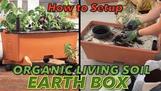 How to Setup Organic Living Soil Earth Box (Indoor/Outdoor Growing for Fruiting & Flowering Plants)