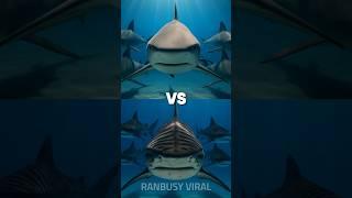 gray shark vs tiger shark, blue whale, sperm whale, Lobster, Mackerel, Turtle, Jellyfish