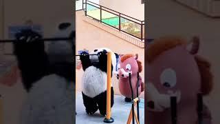 #viral #trending #youtube #tube #fyp #fyptube #dance #viraltube #cats #cat #funny #panda #ترند