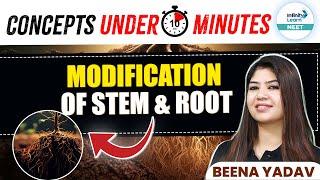 Quick Explain of Stem and Root Modifications | NEET 2025 | NEET Botany/Biology | @InfinityLearn_NEET