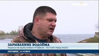 Кременчугское водохранилище спасают от безрыбья