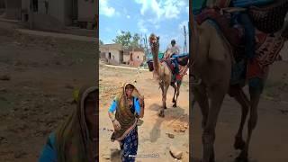 struggle life Malwa #struggle #villagelife #youtubeshorts #shorts #malwa #dewasi #viralshorts