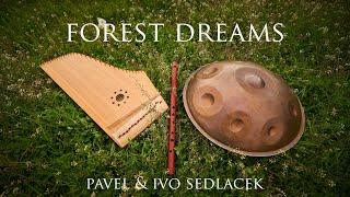 FOREST DREAMS | music for meditation (Ivo & Pavel Sedlacek)