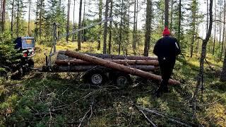 Korpielämää Metsätöissä oltava nopea juoksemaan pakoon.